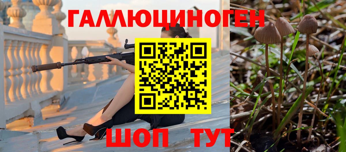 Галлюциногенные грибы MAGIC MUSHROOMS  Вход с VPN  Мыски 