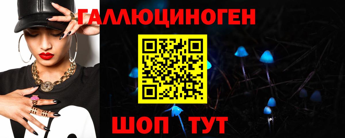 Псилоцибиновые грибы Psilocybe Мыски